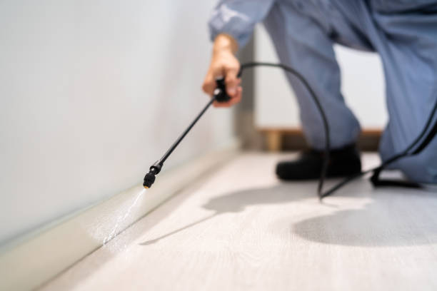 Licensed Mosquito Control service in Woodinville, WA - Show Me Pest Control