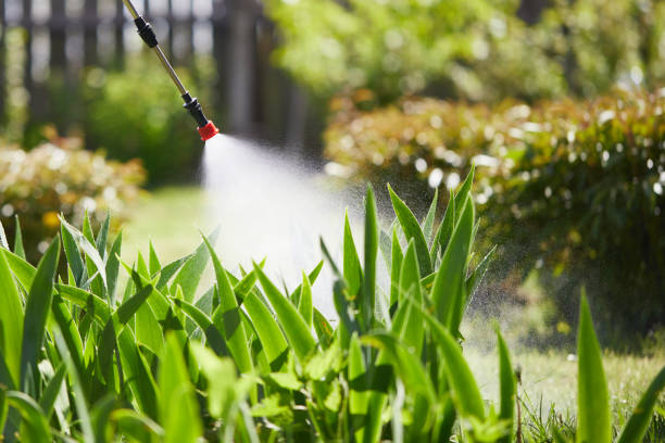 24/7 Emergency Mosquito Control experts in Woodinville, WA