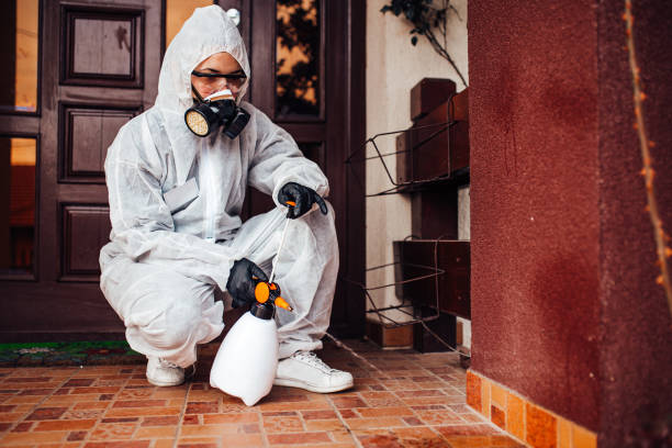 Reliable Mosquito Control contractor in Woodinville, WA by Show Me Pest Control